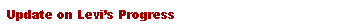 Text Box: Update on Levis Progress
